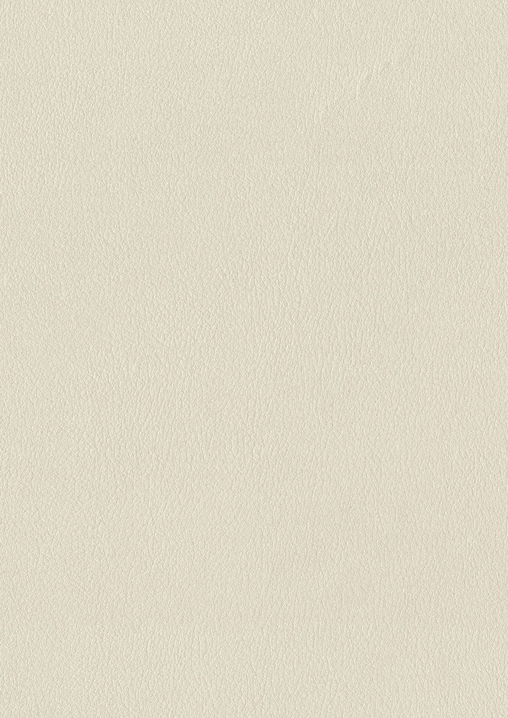 2D ALKORCELL Foils (Renolit Interior 2D Decors: WELSH BEIGE)