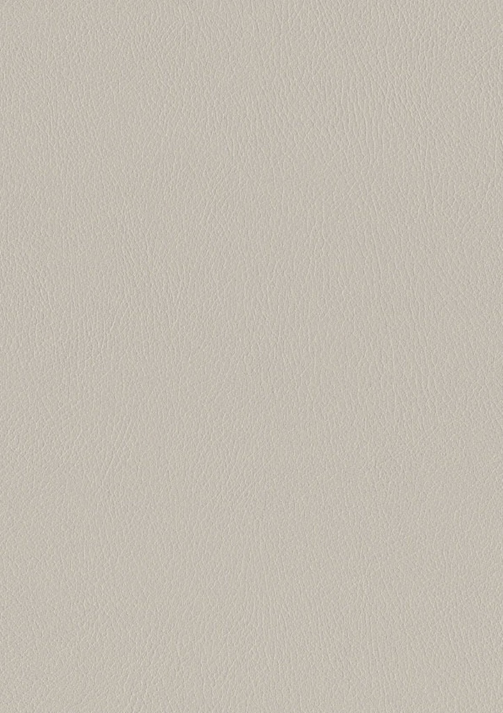 2D ALKORCELL Foils (Renolit Interior 2D Decors: WELSH CREAM GREY)