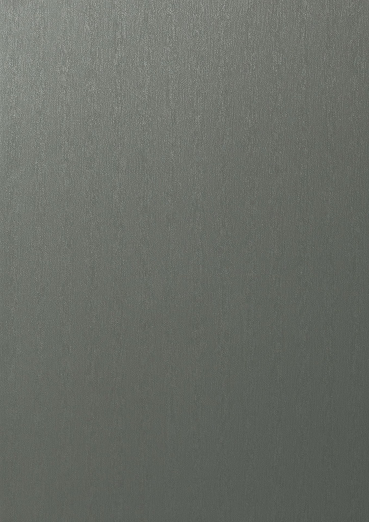 MX - 660 mm (Renolit EXOFOL Decors: MX QUARZ PLATIN 9.1293.002 - 119500)